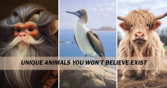 Animals unique exist believe won