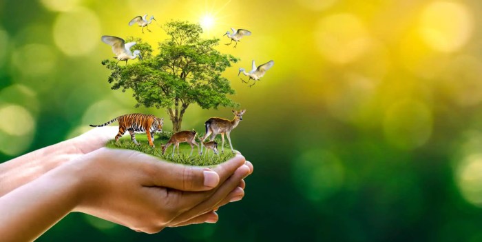 Wildlife save protect earth slogans life slogansmotto