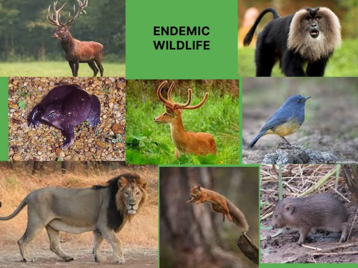 Endangered extinct threatened genetic