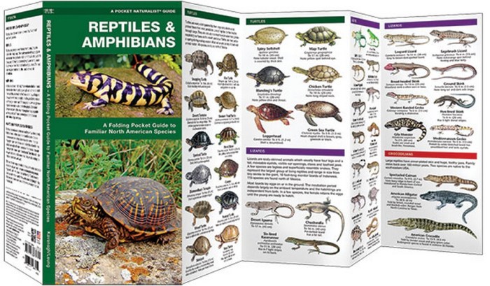 Amphibians reptiles guides