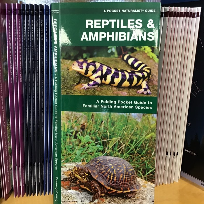 Panduan Mengamati Reptil dan Amfibi di Habitatnya
