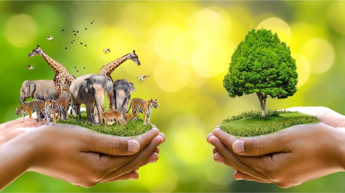Protect wildlife foundation mirpuri campaign part environmental supports sustainability airline principal partner fly hi