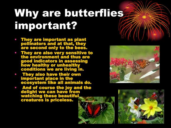 Pollination butterflies important why environment agents kinds pollinating source agent naturalscience