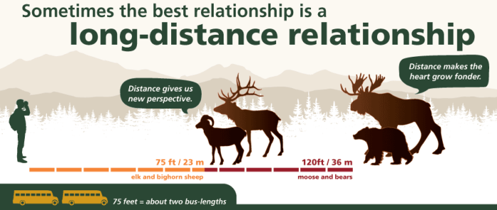 Safety wildlife tips important around these read jakesnatureblog choose board hiking article